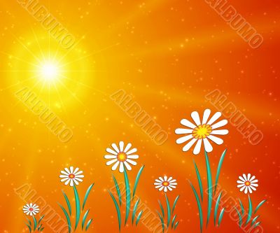 Abstraction floral picture