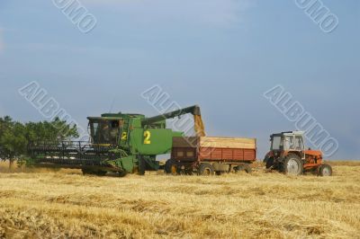 combine and tractor on harvest wheat field
