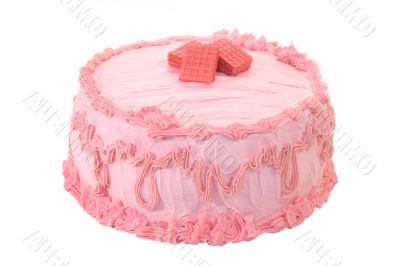 Whole Strawberry Cake