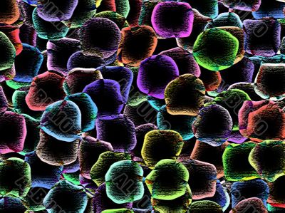 microscope abstract