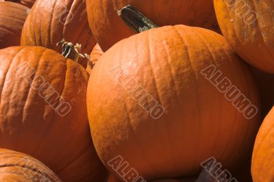 Pumpkins