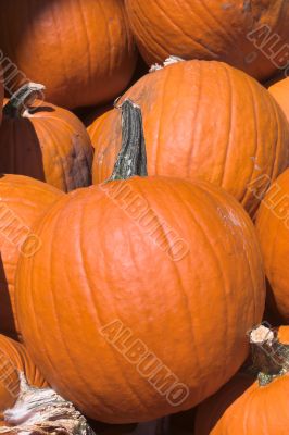 Pumpkins