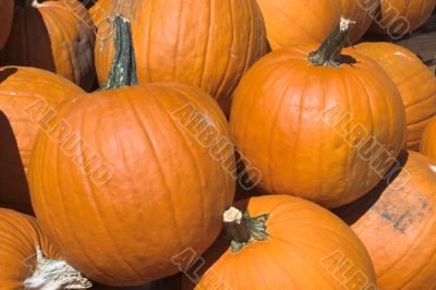 Pumpkins