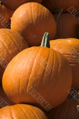 Pumpkins