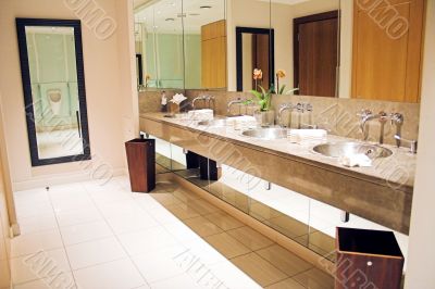 luxurious lavatory