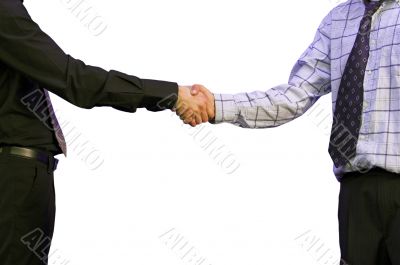 business handshake - full view