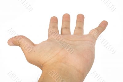 offering a helping hand