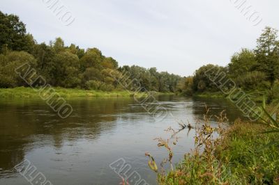 Autumn river