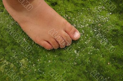 First step in the nature