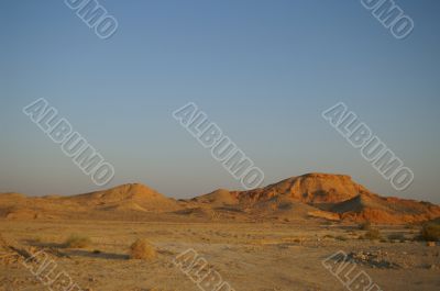 arava desert