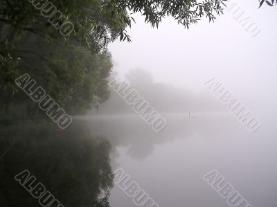 Misty morning