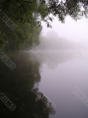 Misty morning