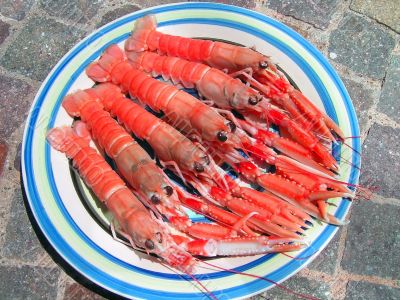 Five norvegian lobsters