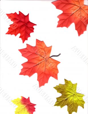 Autumn Designs for Holiday Season