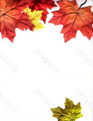 Autumn Designs for Holiday Season
