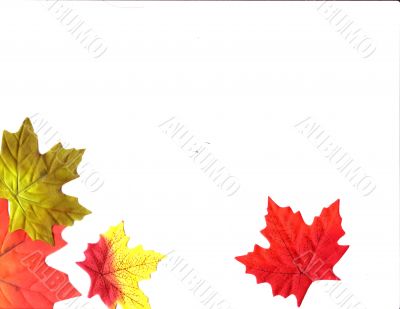 Autumn Designs for Holiday Season