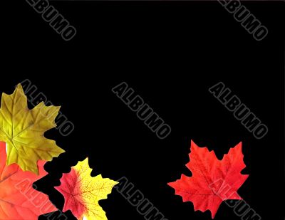 Autumn Designs for Holiday Season