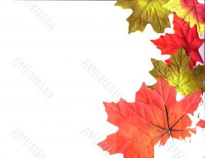 Autumn Designs for Holiday Season