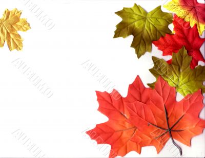 Autumn Designs for Holiday Season