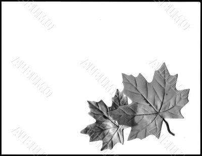 Autumn Designs for Holiday Season