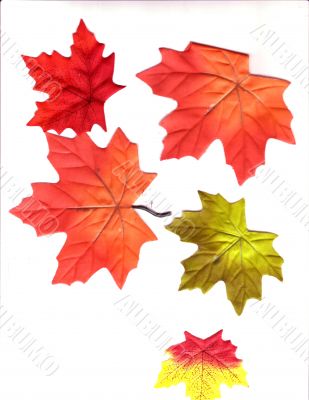 Autumn Designs for Holiday Season