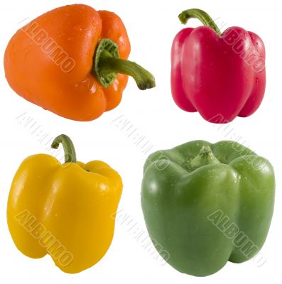 Fresh Bell Pepper Series