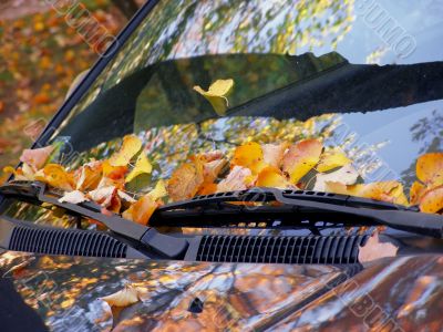 fall on the car