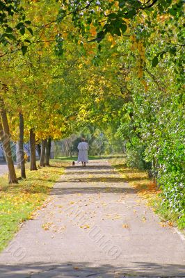 autumn alley
