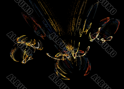 insect fractal