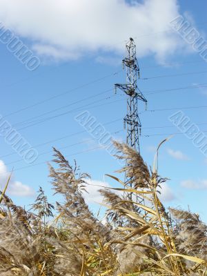 electric column with grass and sky