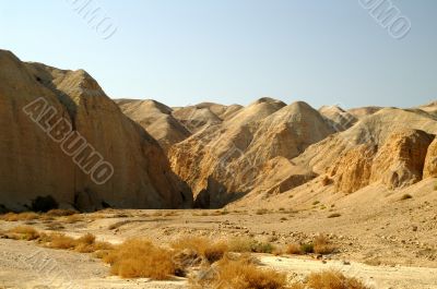 arava desert - dead landscape, background