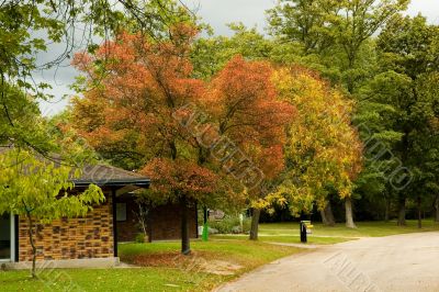 Autumn park