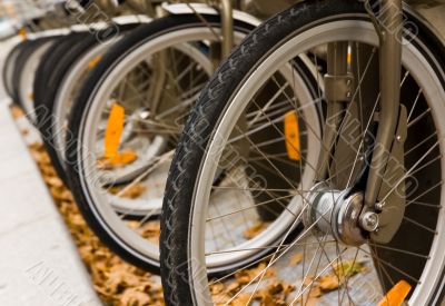 Row of bicycles