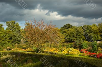 Sunlit park with storming sky
