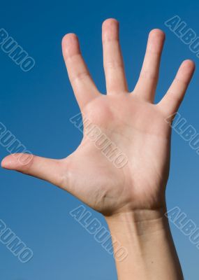 Human hand