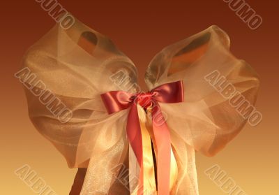 Red-yellow bow