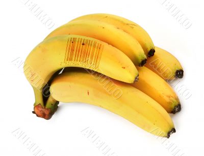 bananas with bar code