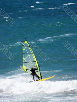Wind Surfer