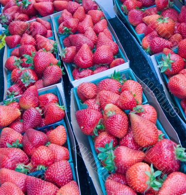 Strawberries