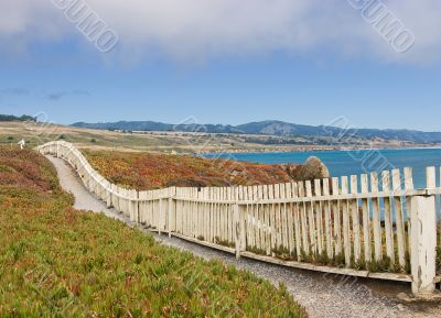 West Coast Landscape