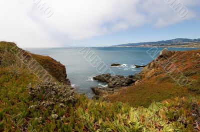 West Coast Landscape