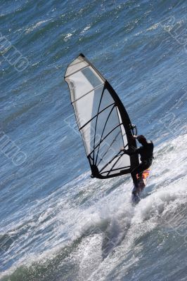 Wind Surfer