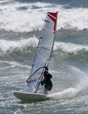Wind Surfer