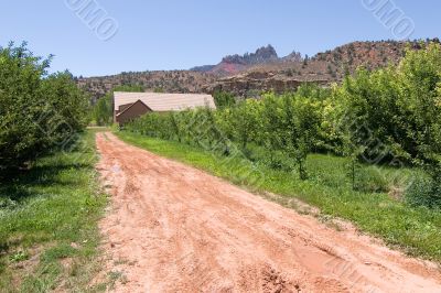 Rural House