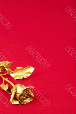 Gold rose on red background