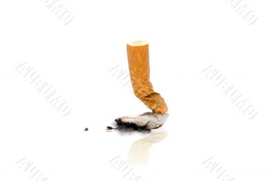Cigarette butt