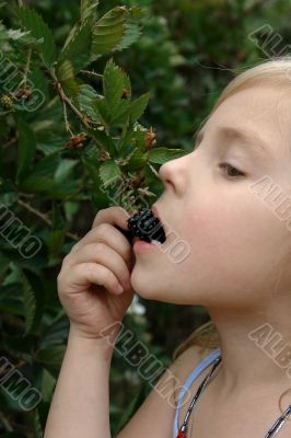 the girl eats a blackberry