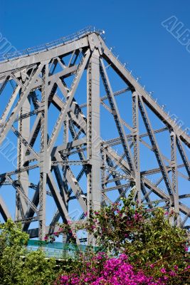 Storey Bridge and Bougainvillea