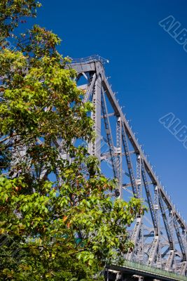 Storey Bridge and Trees
