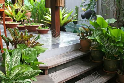 Balinese decor plants